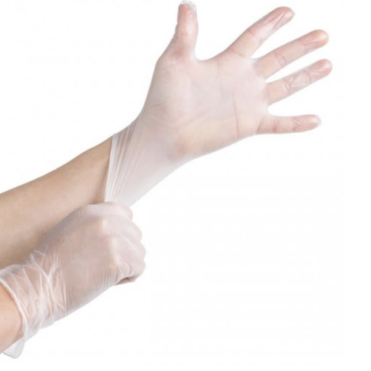 Large Vinyl Gloves - Powder Free 100/pack