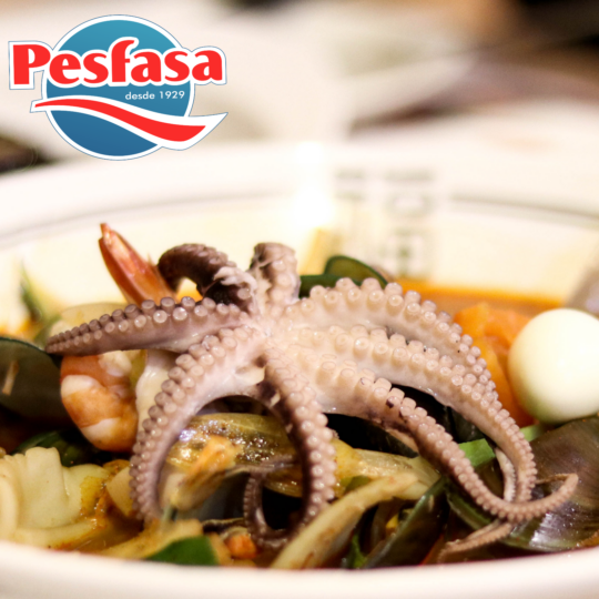 Octopus 2-4 lbs each Product of Portugal