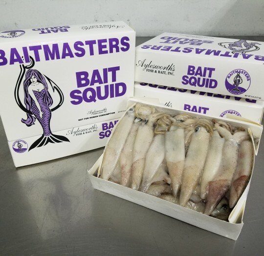 Fishing Bait Squid 5 Lb